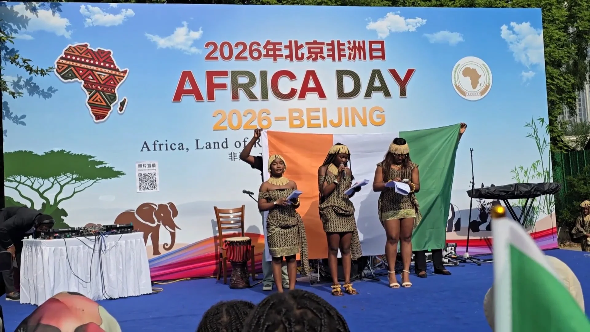 Performers in traditional dress holding flags on stage at Africa Day